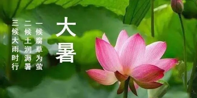 大暑节气，吃三样，做三事，三秘诀，遵循传统，安然度夏～